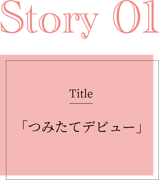 タイトル「つみたてデビュー」