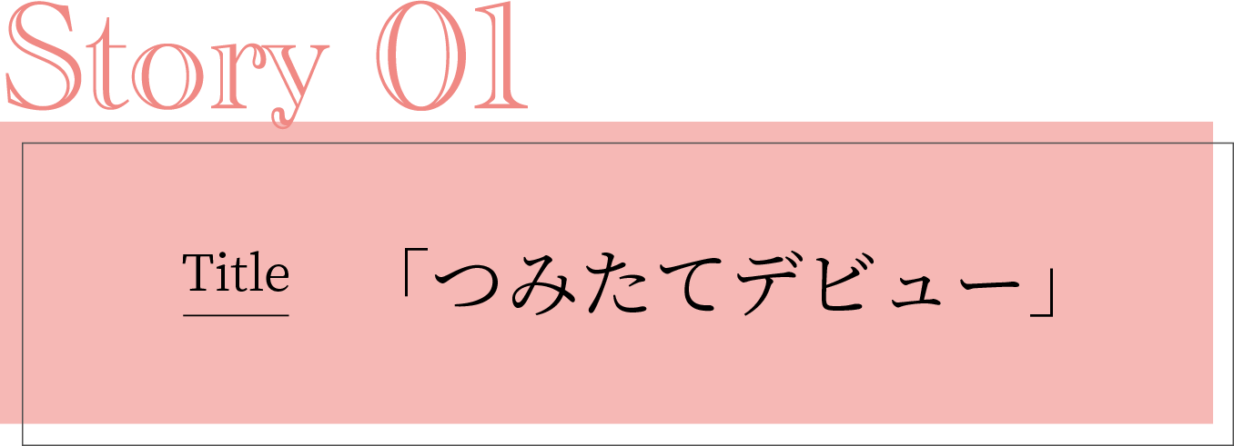 タイトル「つみたてデビュー」