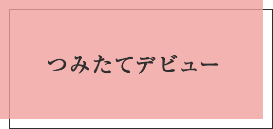 つみたてデビュー