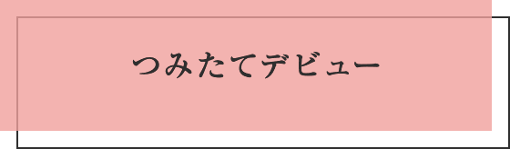 つみたてデビュー