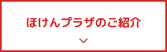 ほけんプラザのご紹介