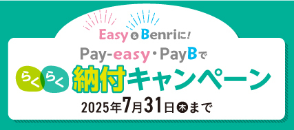 EasyBenriɁIPay-easyEPayB 炭炭[tLy[
