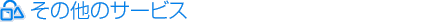 ̑̃T[rX