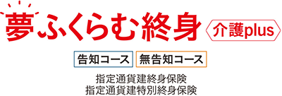 ӂޏIg@plus